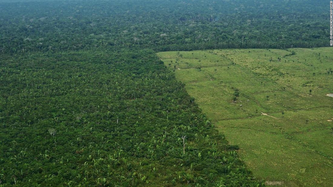 Amazon destruction accelerates 60% to one and a half soccer fields every minute